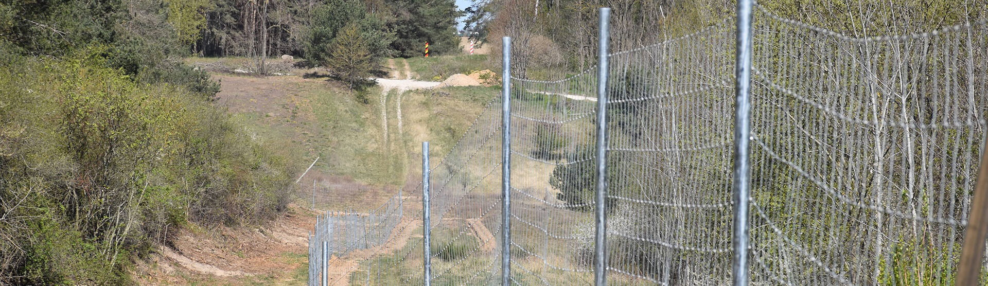 Zäune zum Schutz vor der Afrikanischen Schweinepest | © zaunteam Zaunteam bietet Zäune zum Schutz vor der Afrikanischen Schweinepest | © zaunteam