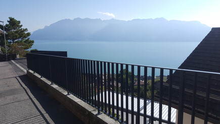 Geländer und Handläufe aus dem 2018 in 1071  Chexbres  Schweiz von Swissclôture Léman.