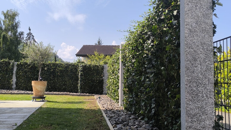 Sonstige Modelle aus dem 2025 in 4450 Sissach Schweiz von Zaunteam Nordwest.