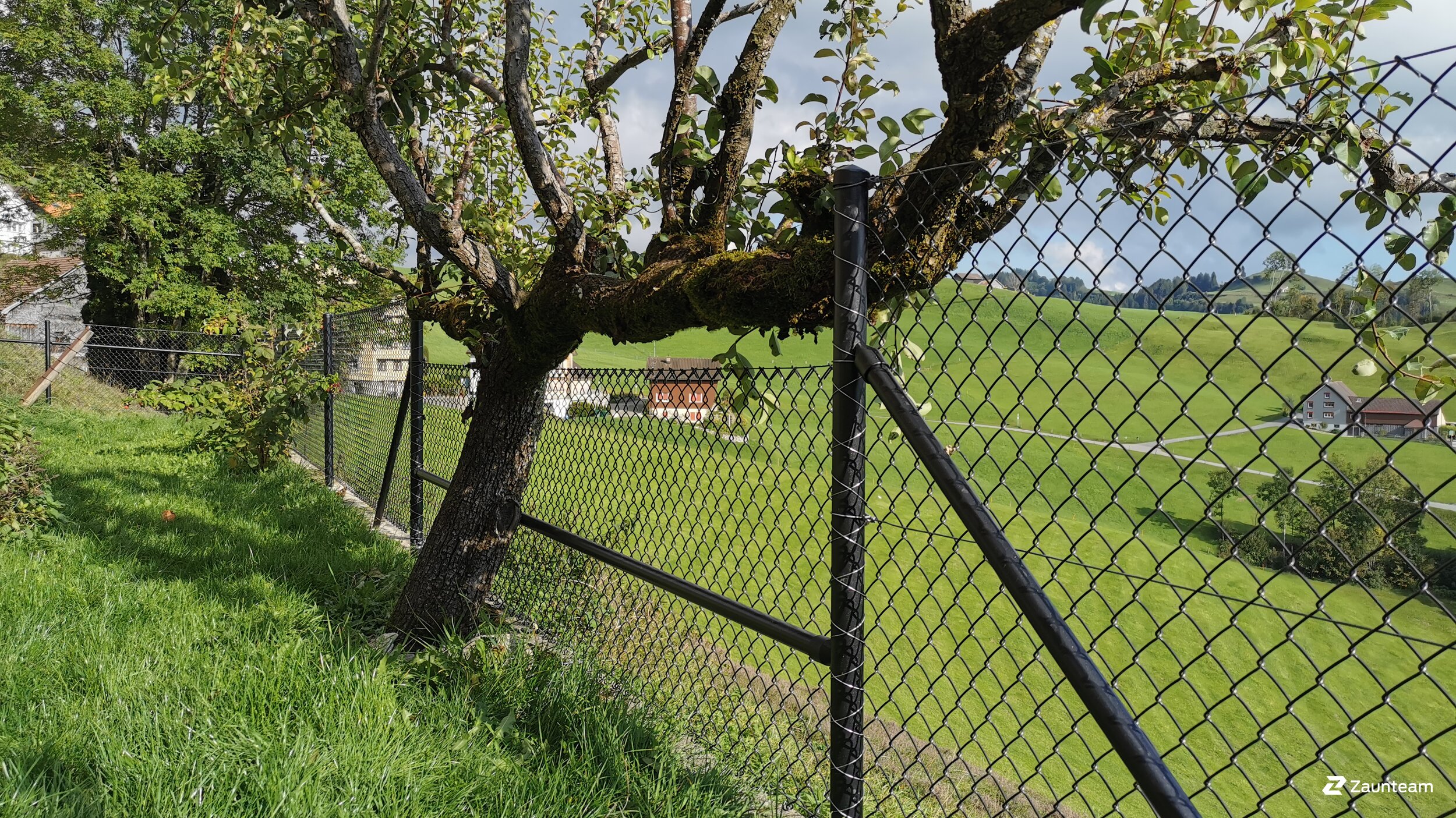 Grillage simple torsion de 2020 à 9050 Appenzell Schlatt Suisse de Zaunteam Appenzellerland.