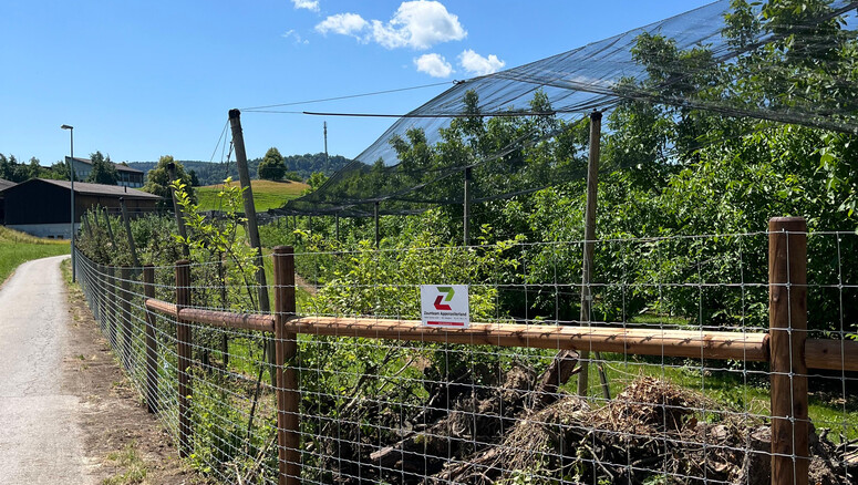 Knotengitter aus dem 2025 in 9230 Flawil Schweiz von Zaunteam Appenzellerland.