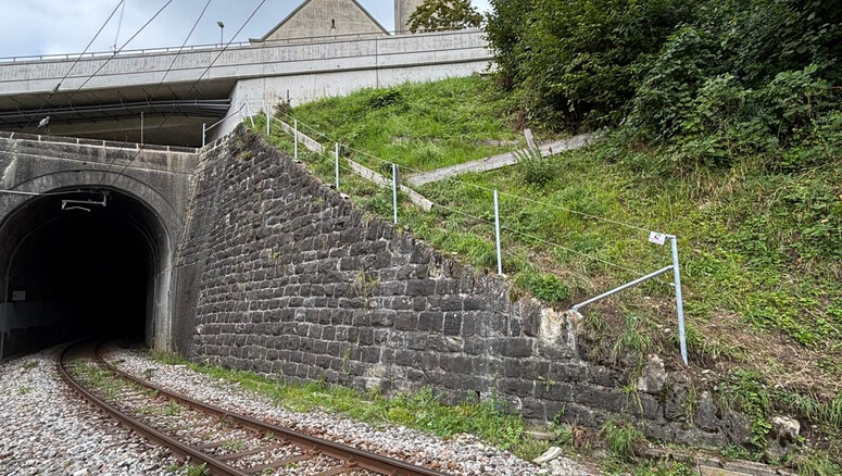 Drahtseilzaun aus dem 2025 in 9100 Herisau Schweiz von Zaunteam Appenzellerland.