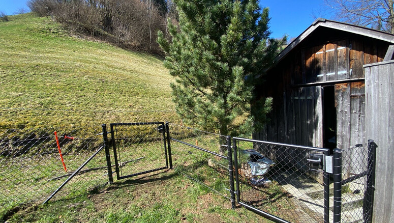 Maschendrahtzaun aus dem 2025 in 9107 Urnäsch Schweiz von Zaunteam Appenzellerland.