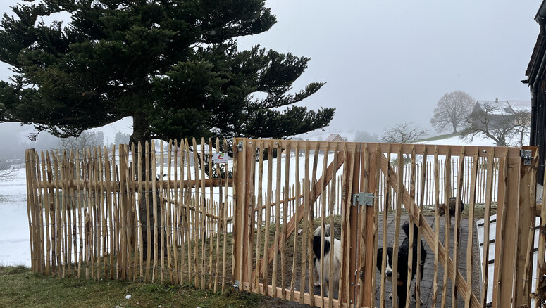 Naturzaun aus dem 2025 in 9413 Oberegg Schweiz von Zaunteam Appenzellerland.