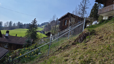 Diagonalgeflecht aus dem 2021 in 9651 ennetbühl Schweiz von Zaunteam Werdenberg.