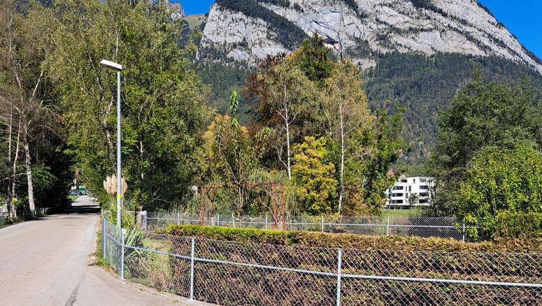 Diagonalgeflecht aus dem 2024 in 9466 Sennwald Schweiz von Zaunteam Werdenberg.