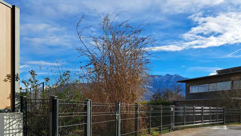 Decorzaun aus dem 2025 in 9466 Sennwald Schweiz von Zaunteam Werdenberg.