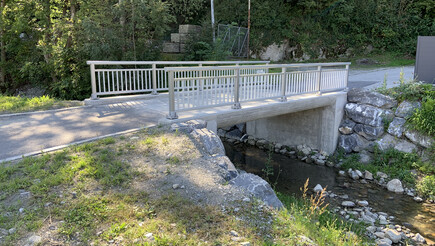 Geländer und Handläufe aus dem 2019 in 7310 Bad Ragaz Schweiz von Zaunteam Heidiland.