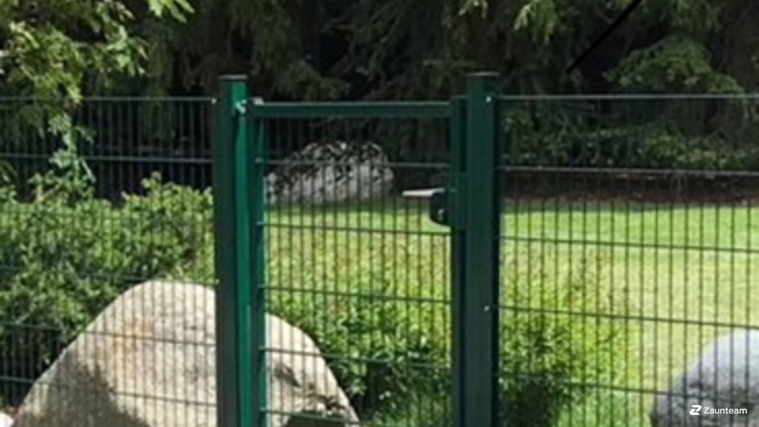 Doppelstabmattenzaun aus dem 2018 in 7078 LenzerheideLain Schweiz von Franchise AG.