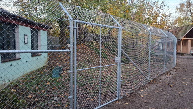 Maschendrahtzaun aus dem 2025 in 5236 Remigen Schweiz von Zaunteam Aargau AG.