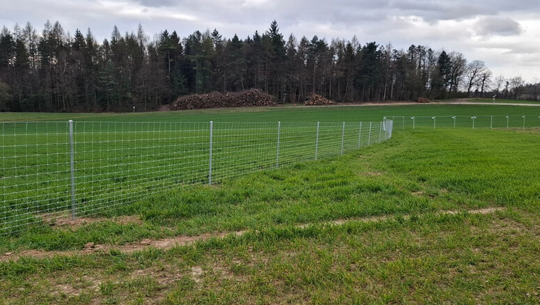 Knotengitter aus dem 2026 in 5106 Veltheim Schweiz von Zaunteam Aargau AG.