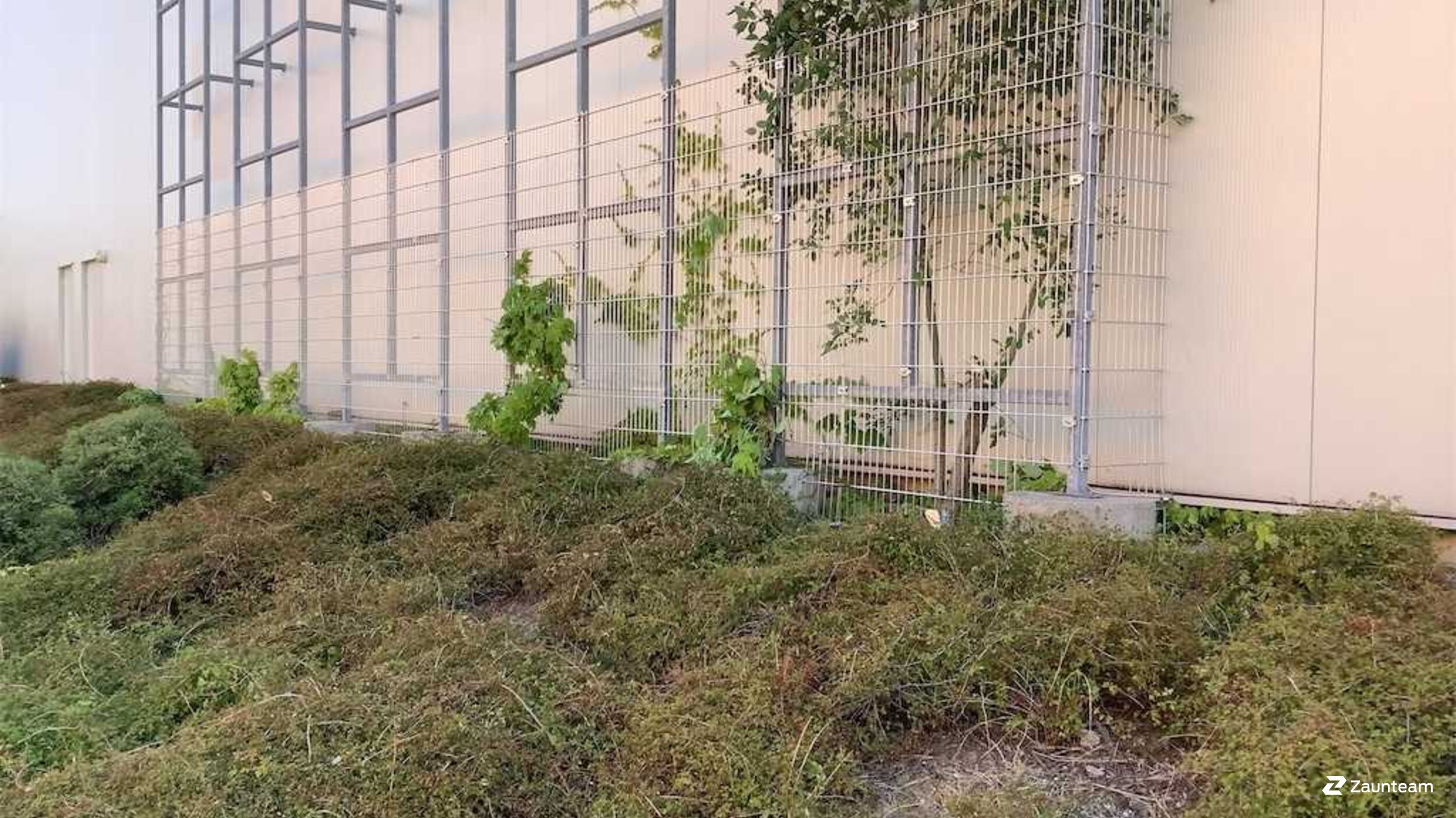 Clôture en panneau double fil de 2022 à 04103 Leipzig Allemagne de Zaunteam Leipzig.