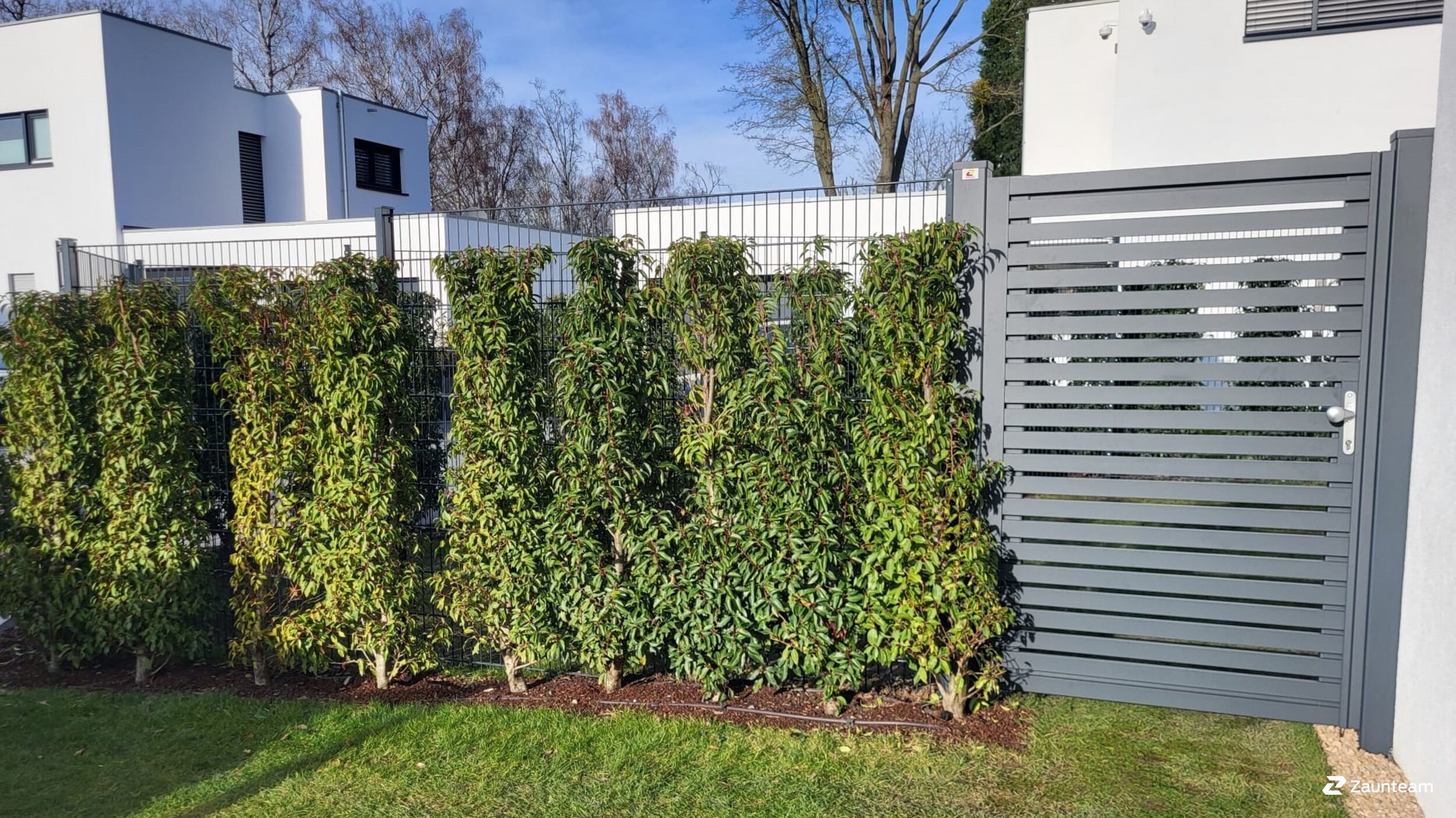 Aluminium Sichtschutz aus dem 2024 in 50996 Köln Deutschland von Franchise AG.