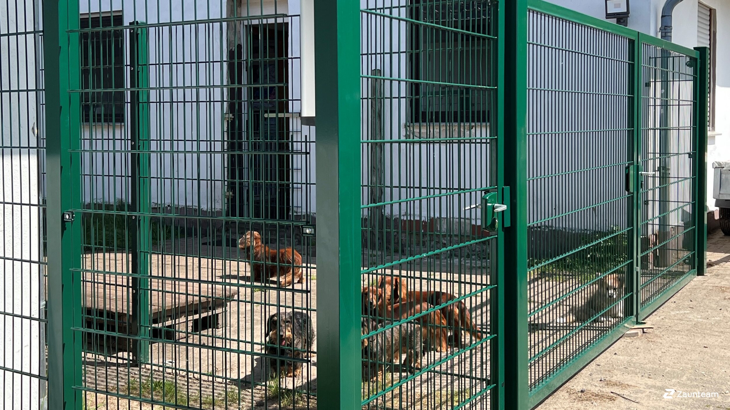 Doppelstabmattenzaun aus dem 2023 in 49163 Bohmte Deutschland von Zaunteam Osnabrücker Land.