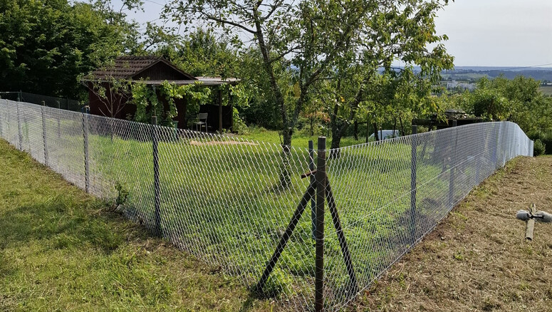 Grillage simple torsion de 2025 à 70794 Filderstadt Allemagne de Zaunteam Fenzhöfe Oberwälden.