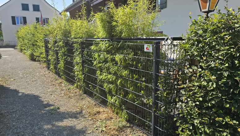 Doppelstabmattenzaun aus dem 2026 in 8500 Frauenfeld Schweiz von Zaunteam Toggenburg.