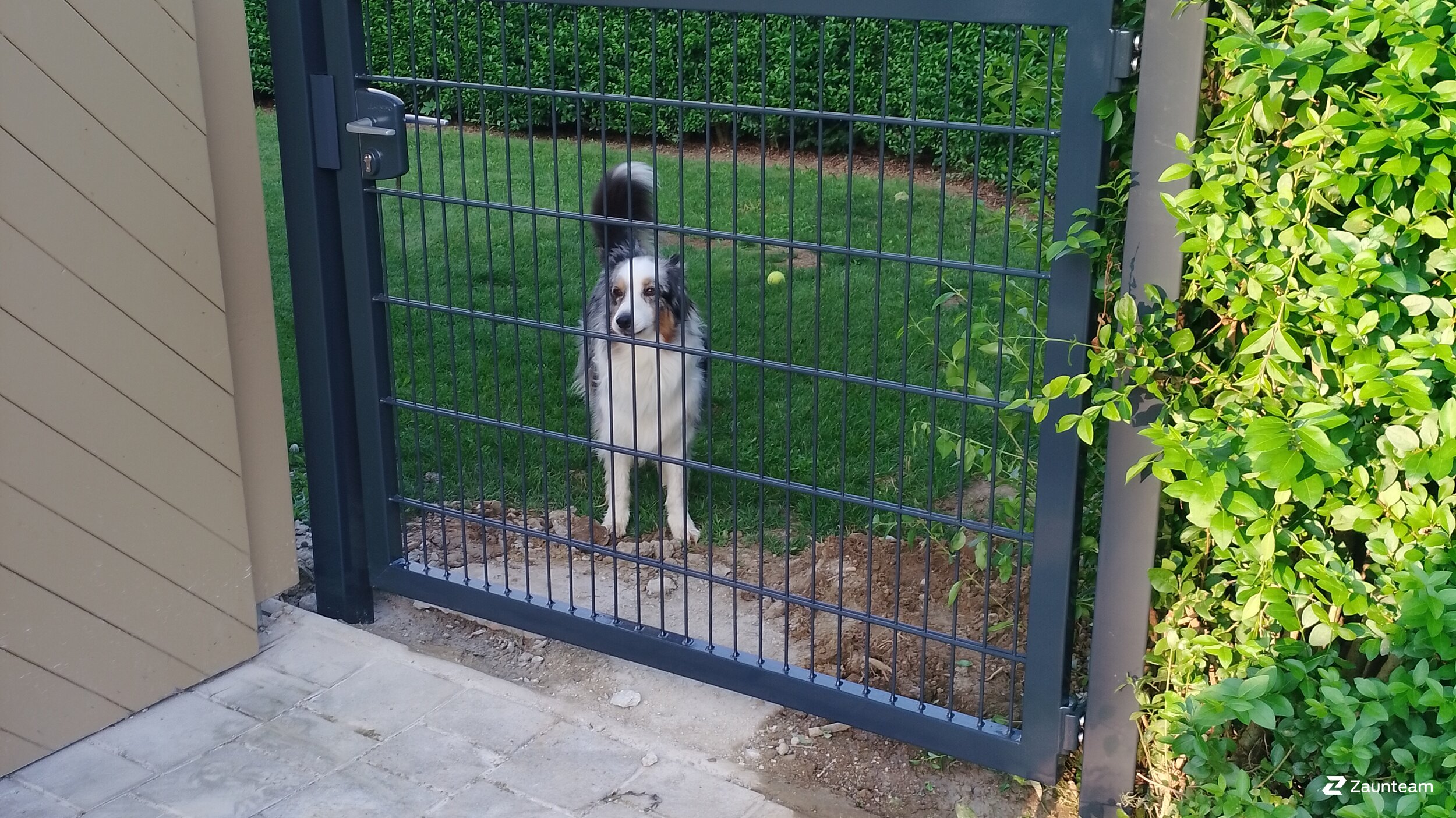 Doppelstabmattenzaun aus dem 2025 in 7420 Neustift an der Lafnitz Österreich von Zaunteam Oststeiermark.