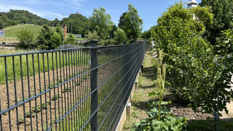 Clôture en panneau double fil de 2025 à 7434 Bernstein Autriche de Zaunteam Oststeiermark.