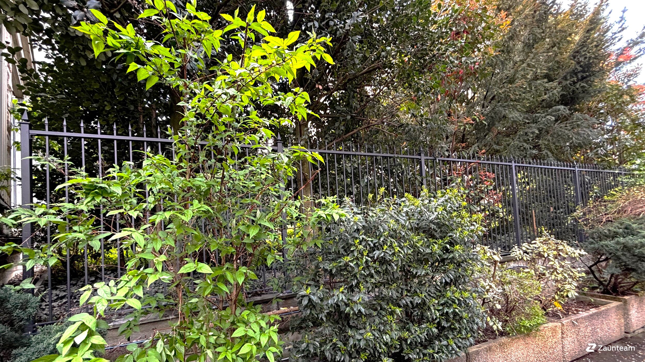 Klassikzaun aus dem 2025 in 8006 Zürich Schweiz von Zaunteam Zürich.