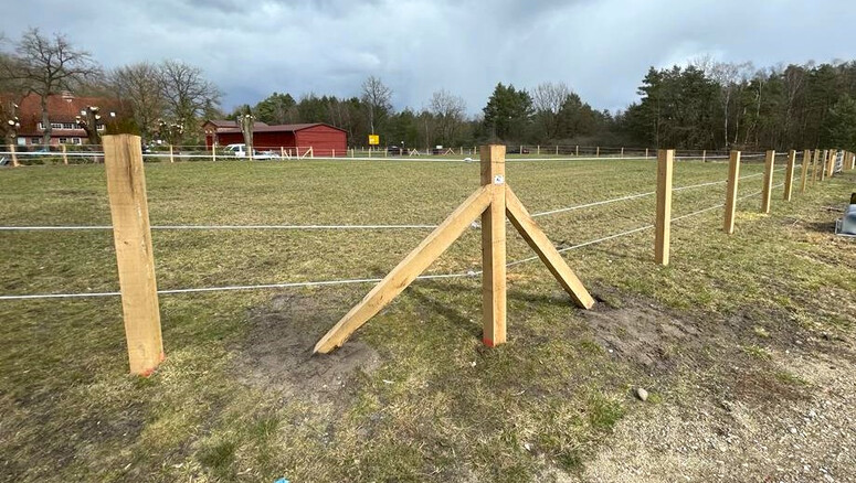 Elektrozaun für Nutztiere aus dem 2023 in 38524 Sassenburg Deutschland von Zaunteam Südheide-Altmark.