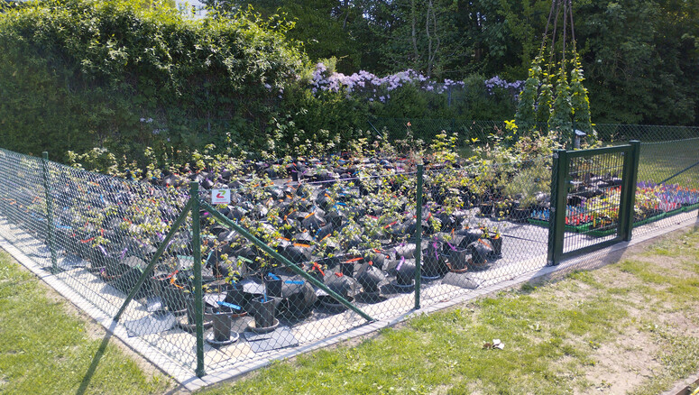 Maschendrahtzaun aus dem 2025 in 38106 Braunschweig Deutschland von Zaunteam Braunschweig.