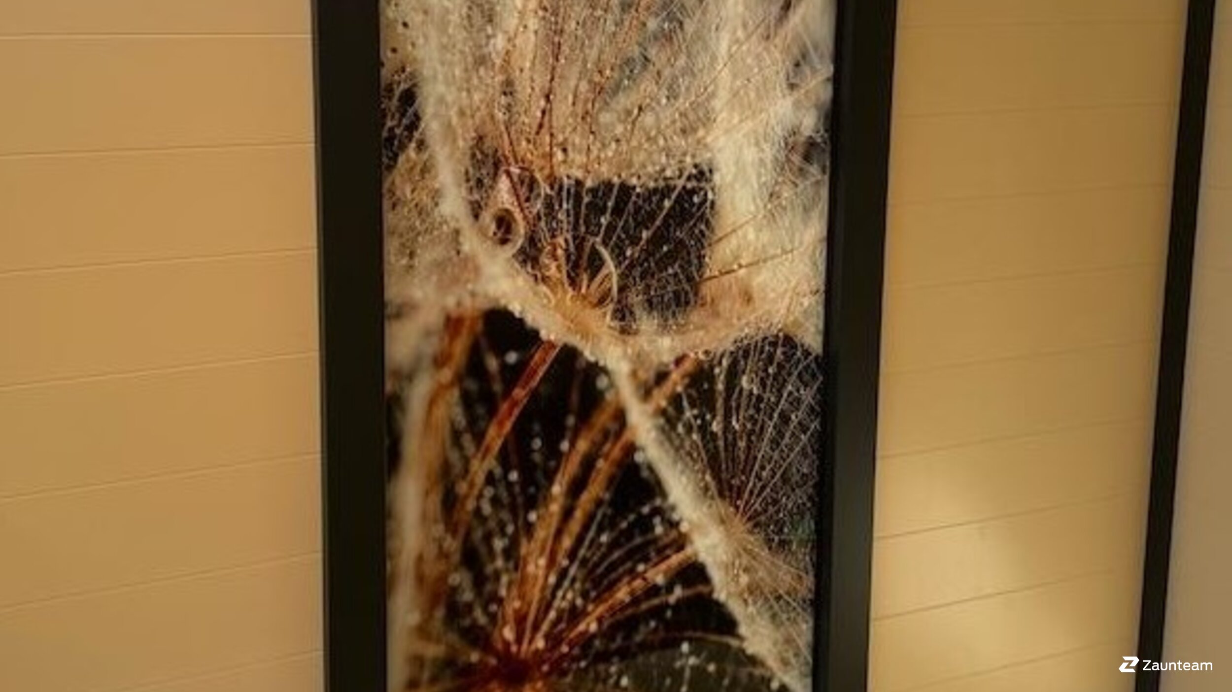 Aluminium Sichtschutz aus dem 2024 in 8493 Saland Schweiz von Zaunteam Zürich Oberland.