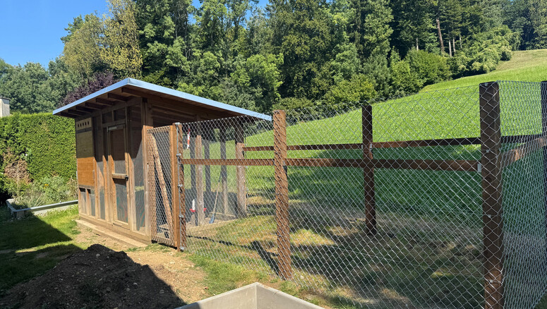 Grillage simple torsion de 2025 à 8489 Wildberg Suisse de Zaunteam Zürich Oberland.