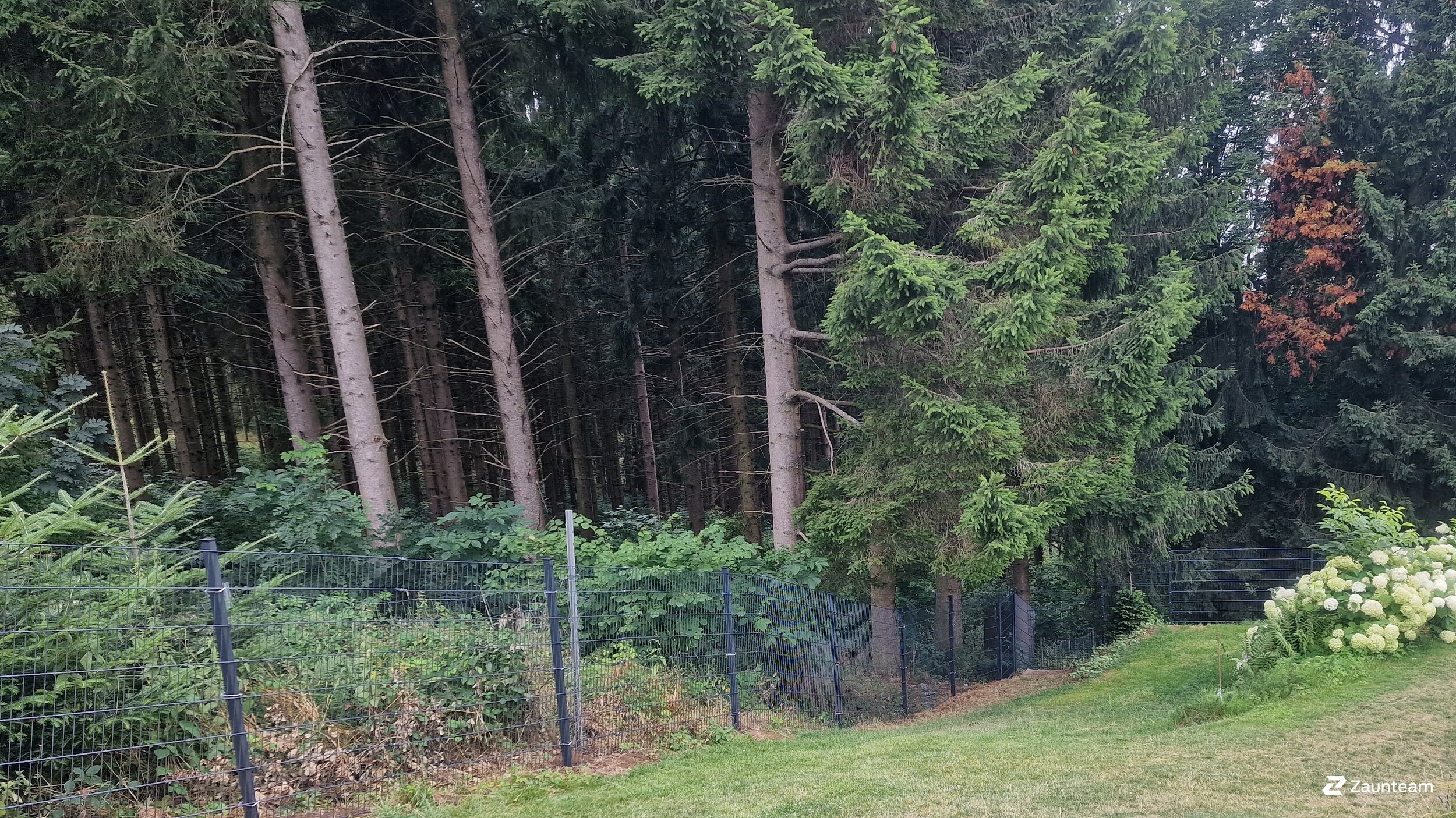 Doppelstabmattenzaun aus dem 2023 in 94469 Deggendorf Deutschland von Zaunteam Regen.