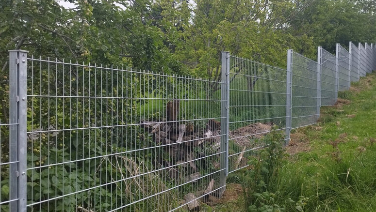 Doppelstabmattenzaun aus dem 2026 in 94259 Kirchberg im Wald  Deutschland von Zaunteam Regen.