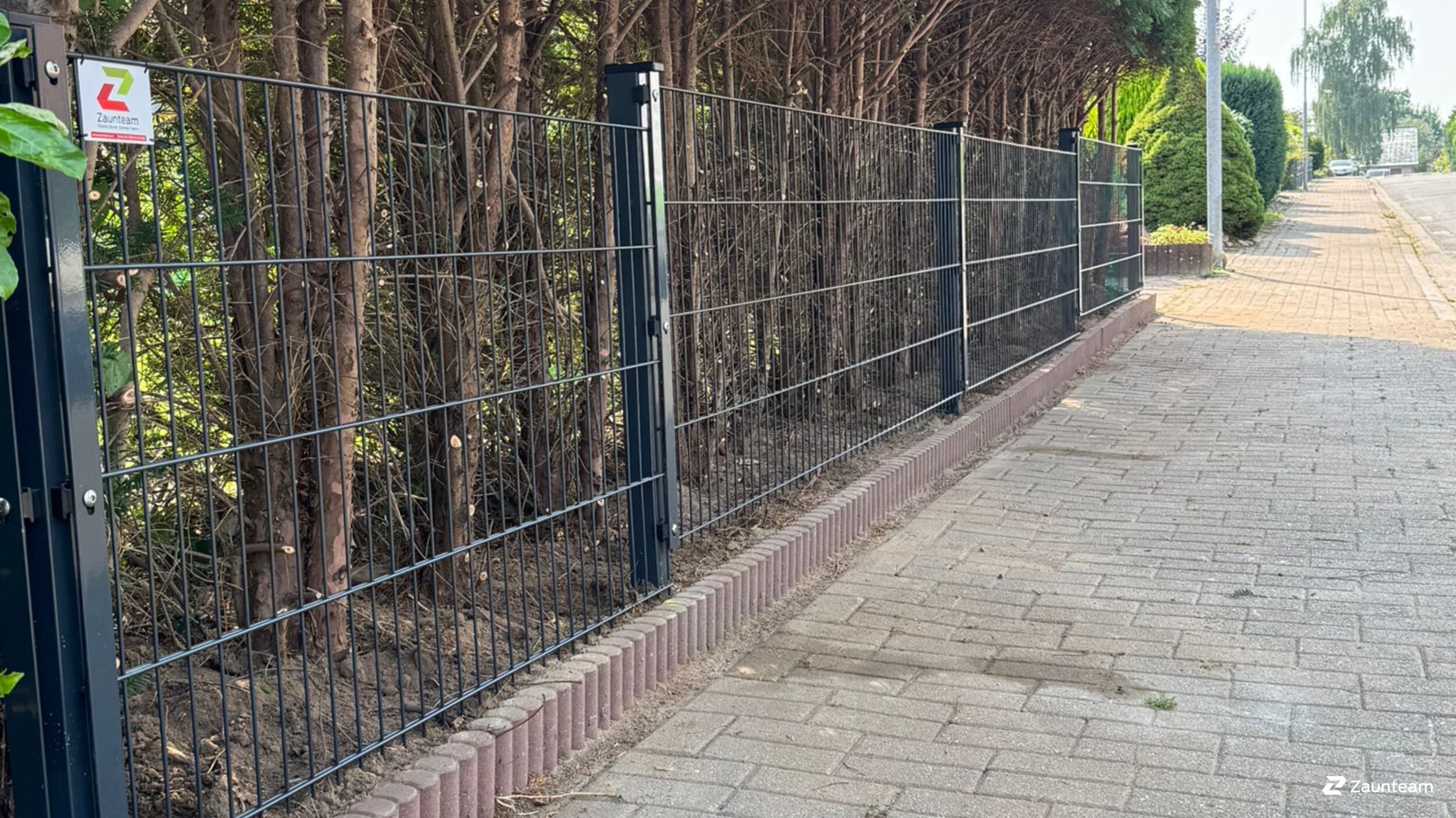 Clôture en panneau double fil de 2025 à 21739 Dollern Allemagne de Zaunteam Stade-Geestland.