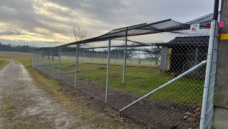 Maschendrahtzaun aus dem 2025 in 8307 Ottikon b. Kemptthal Schweiz von Zaunteam Neftenbach.