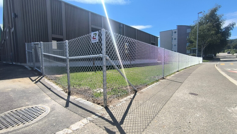 Grillage simple torsion de 2025 à 8240 Thayngen Suisse de Zaunteam Neftenbach.