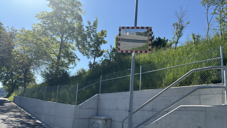 Grillage simple torsion de 2025 à 8422 Pfungen Suisse de Zaunteam Neftenbach.