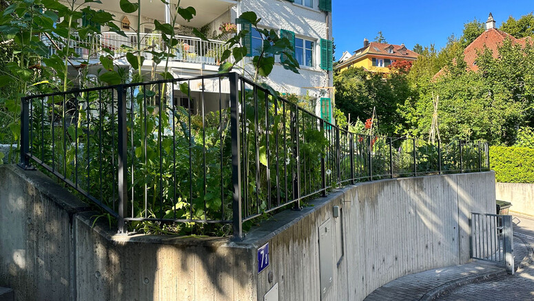 Geländer und Handläufe aus dem 2022 in 8400 Winterthur Schweiz von Zaunteam Neftenbach.