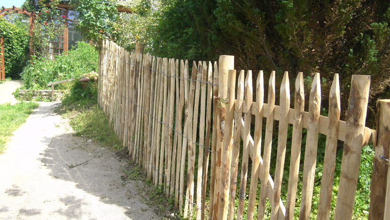 Naturzaun aus dem 2025 in 3040 Neulengbach Österreich von Zaunteam Wienerwald.