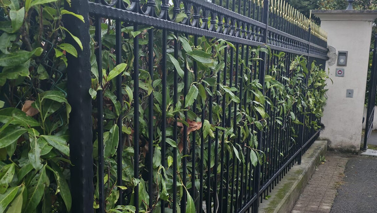 Klassikzaun aus dem 2025 in 1223 Cologny Schweiz von Swissclôture Genève.