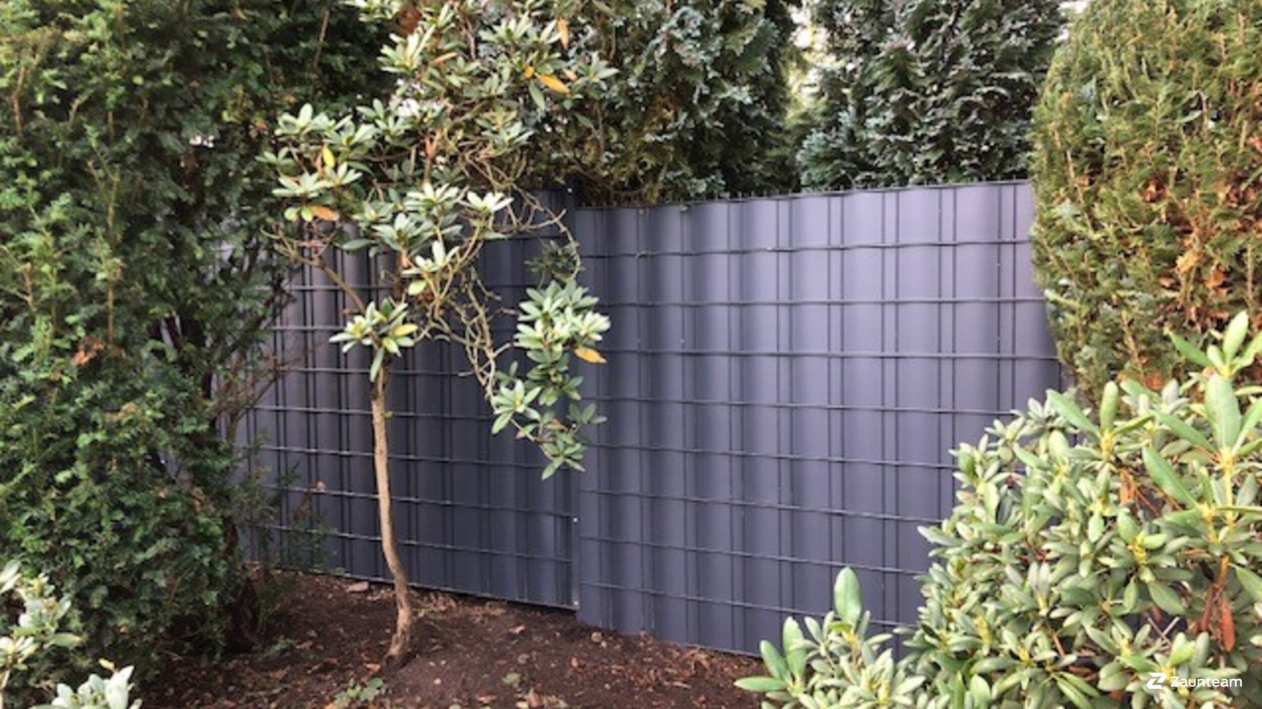 Protection brise-vue en tressage de 2023 à 22559 Hamburg Allemagne de Zaunteam Elbe-Pinnau.