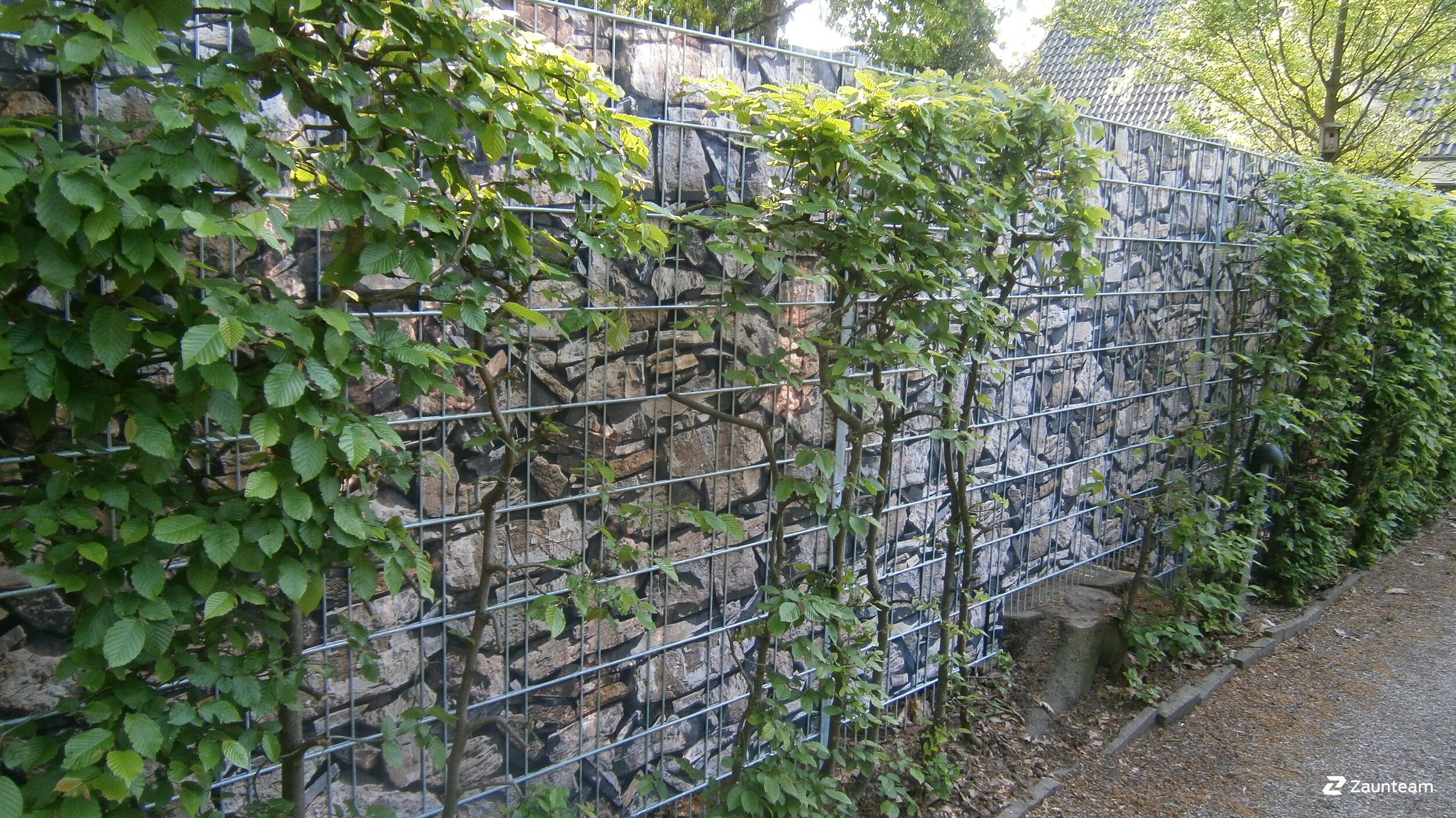 Flecht Sichtschutz aus dem 2016 in 28359 Bremen Deutschland von Zaunteam Weser-Wümme.