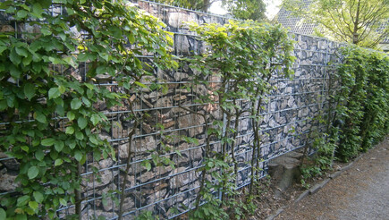 Protection brise-vue en tressage de 2016 à 28359 Bremen Allemagne de Zaunteam Weser-Wümme.