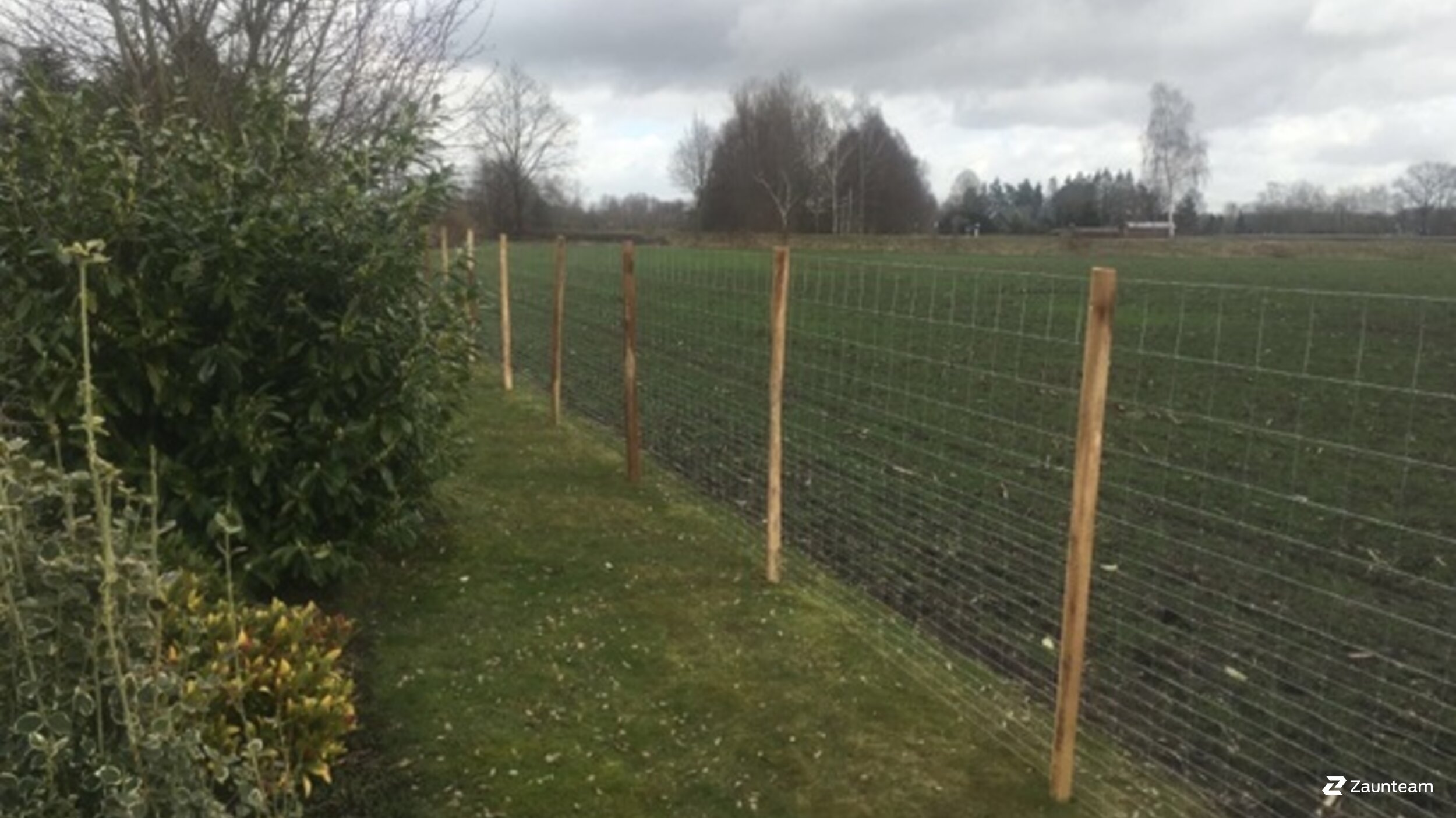 Knotengitter aus dem 2021 in 32369 Rahden Deutschland von Zaunteam Kischkel.