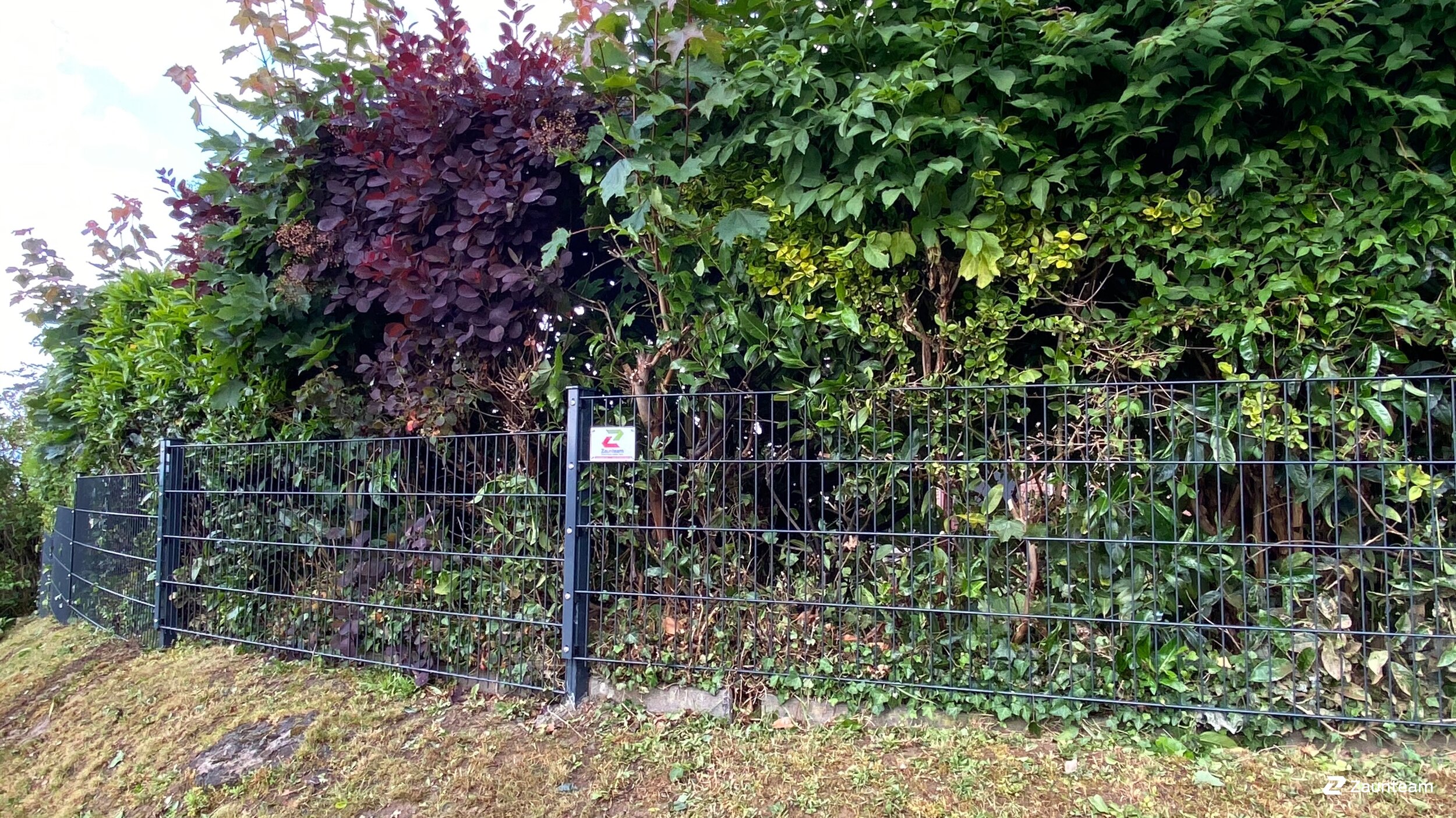 Doppelstabmattenzaun aus dem 2020 in 32312 Lübbecke Deutschland von Zaunteam Kischkel.