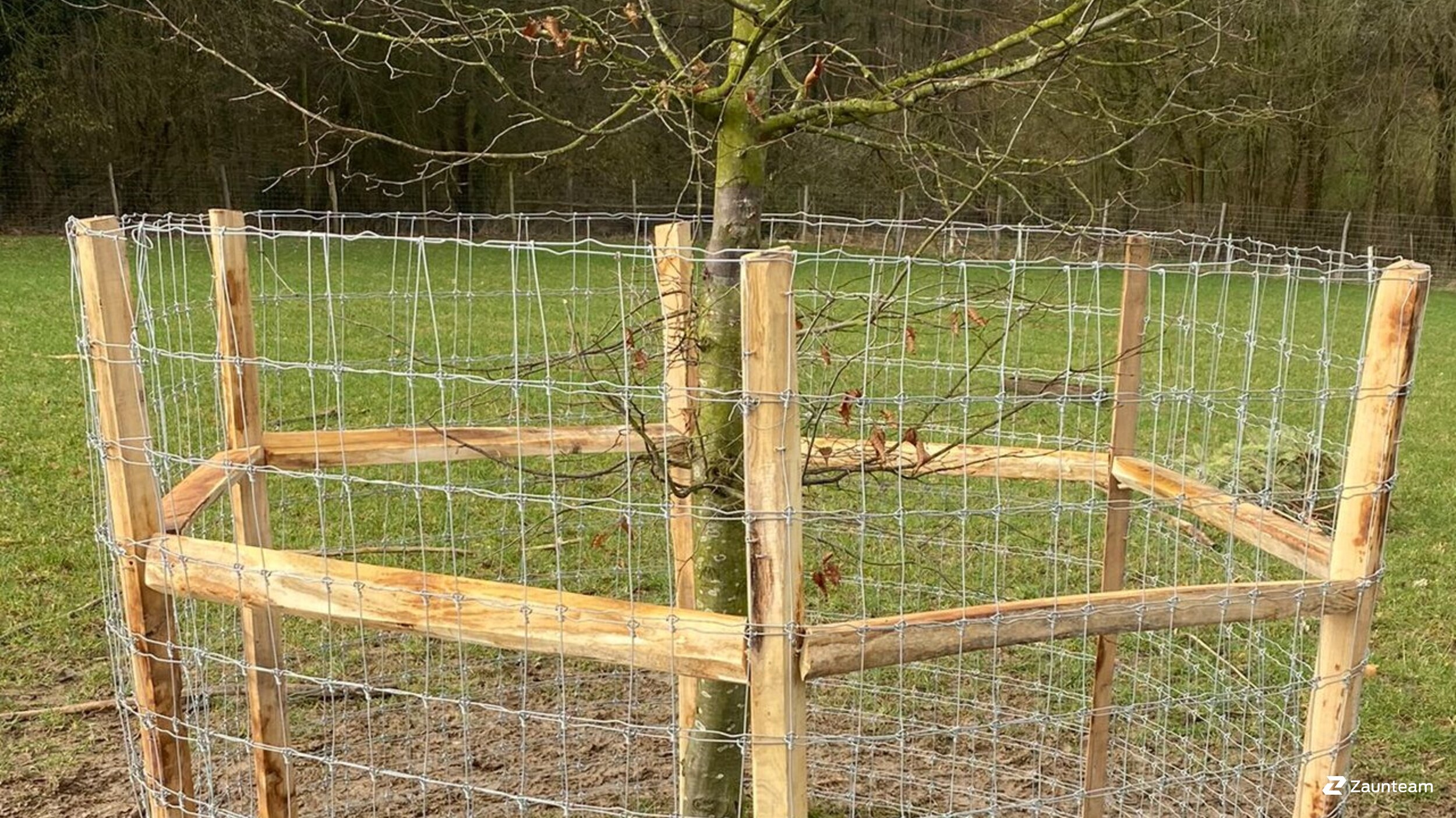 Knotengitter aus dem 2024 in 32545 Bad Oeynhausen Deutschland von Zaunteam Kischkel.