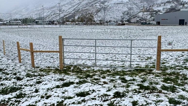 Knotengitter aus dem 2026 in 3942 Raron Schweiz von Zaunteam Wallis / Swissclôture Valais.