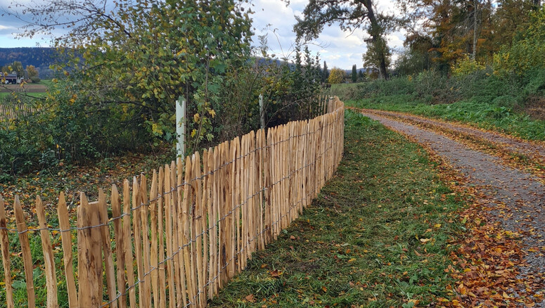 Naturzaun aus dem 2025 in 72172 Holzhausen  Deutschland von Zaunteam Lkr. Rottweil.