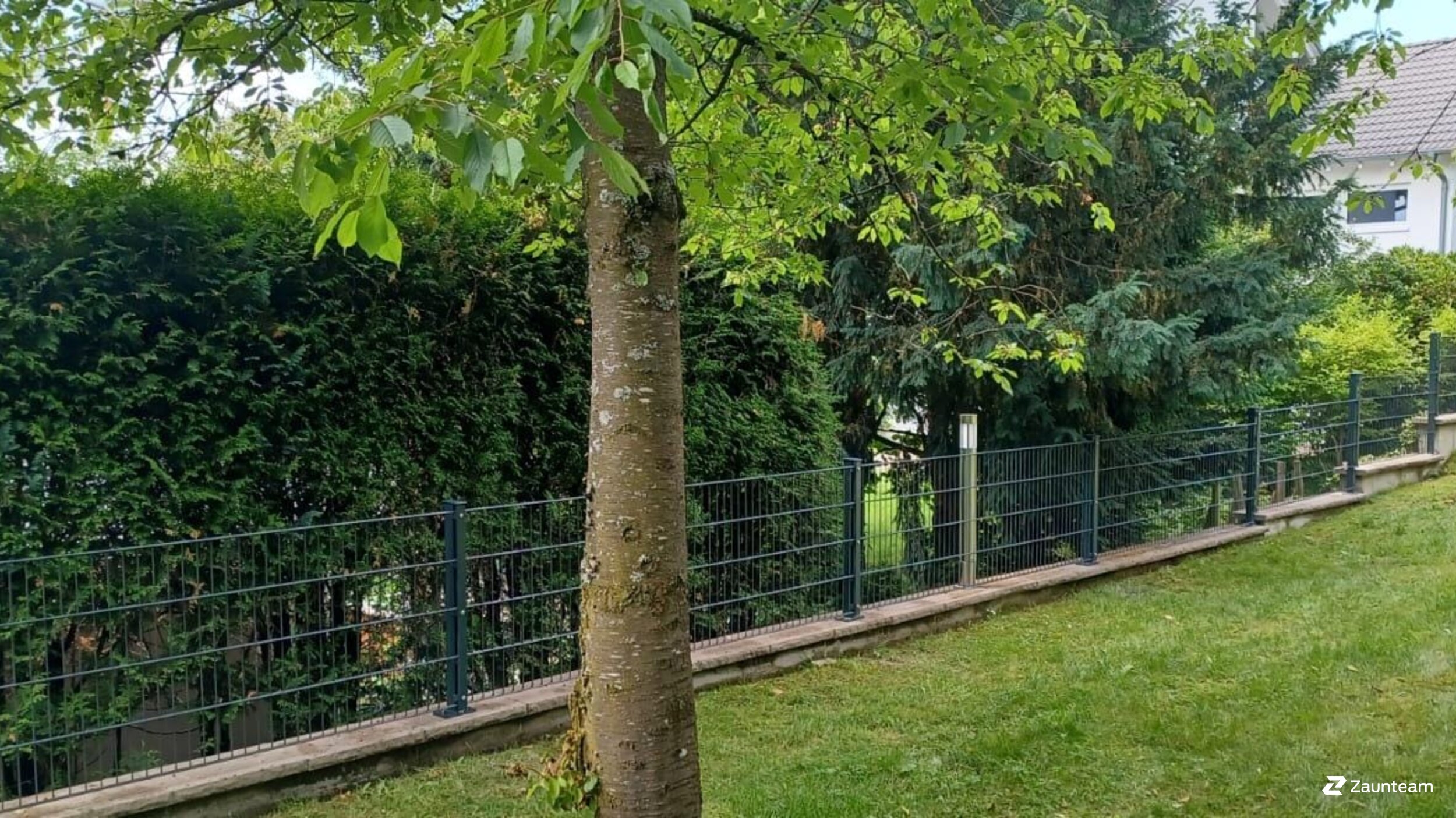 Doppelstabmattenzaun aus dem 2025 in 88630 Pfullendorf Deutschland von Zaunteam Obere Donau-Bodensee.