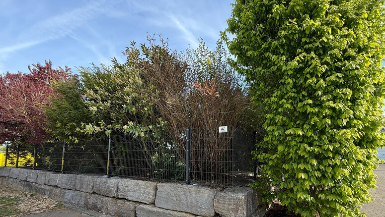 Clôture en panneau double fil de 2025 à 89547 Gerstetten Allemagne de Zaunteam Ulm.