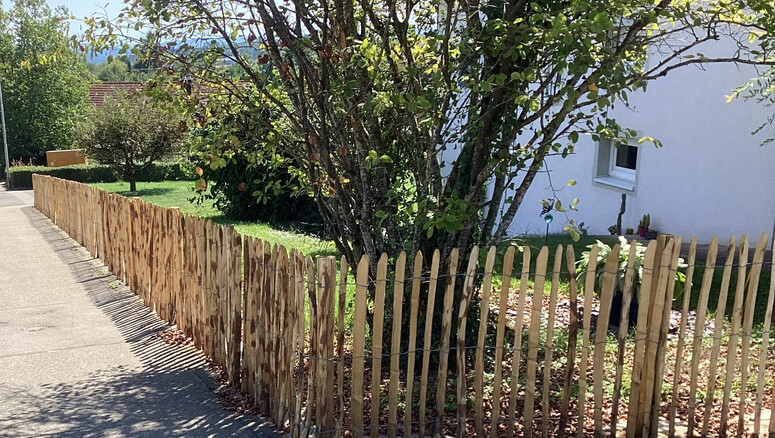 Clôture naturelle de 2025 à 79798 Jestetten Allemagne de Zaunteam Granacher.