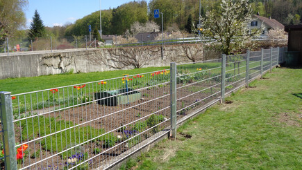 Clôture en panneau double fil de 2016 à 3375 Inkwil Suisse de Zaunteam Mittelland GmbH.