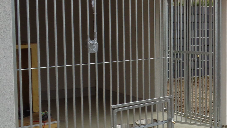 Tierschutzzaun aus dem 2016 in 4628 Wolfwil Schweiz von Zaunteam Mittelland GmbH.