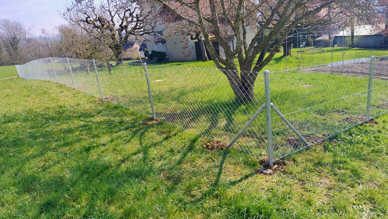 Maschendrahtzaun aus dem 2026 in 2544 Bettlach Schweiz von Zaunteam Mittelland GmbH.